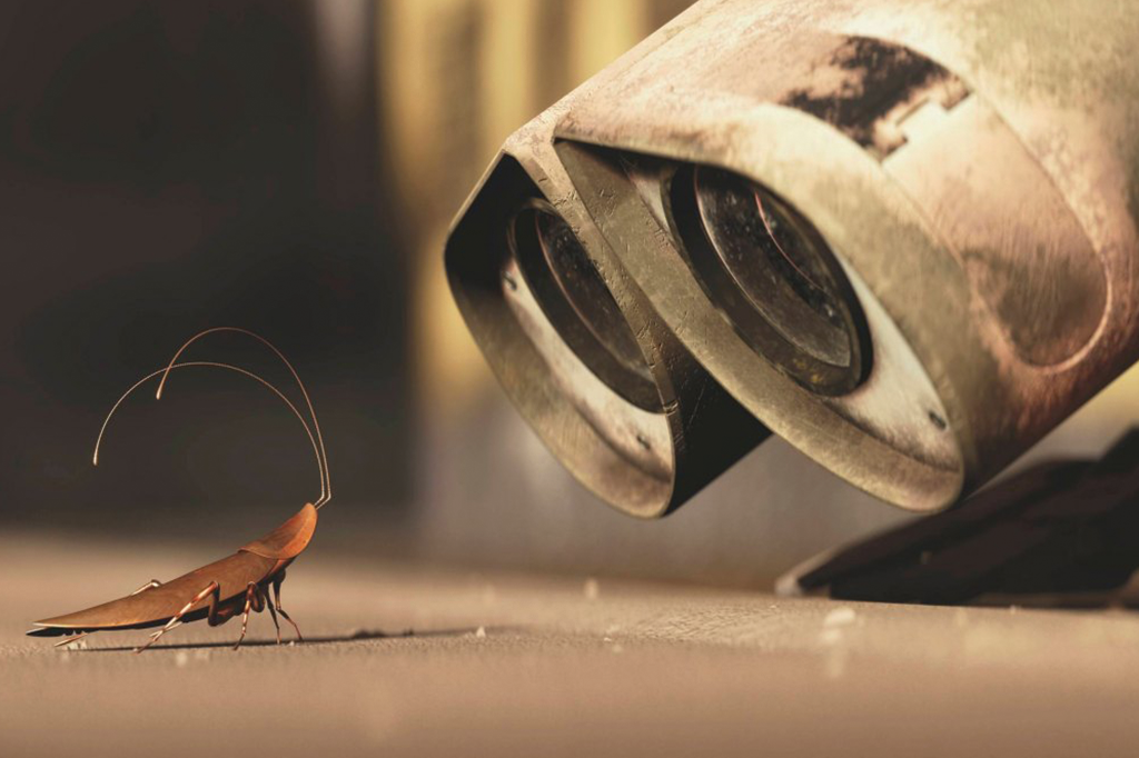 Significado De Sonar Con Cucaracha Significado De Sonar