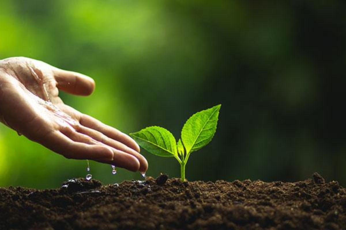 Preocuparse por el medio ambiente