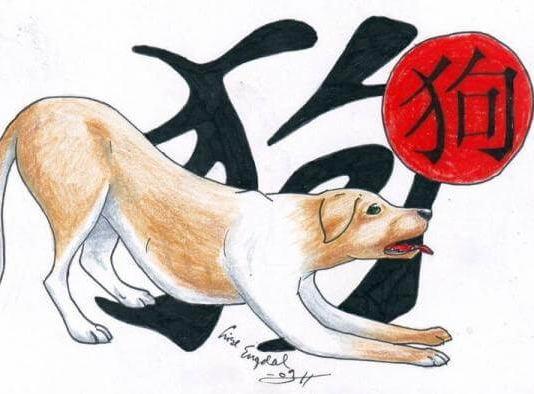 Horóscopo Chinês   Cão: Características e Personalidade