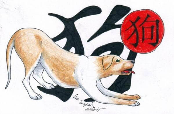 Horóscopo Chinês   Cão: Características e Personalidade