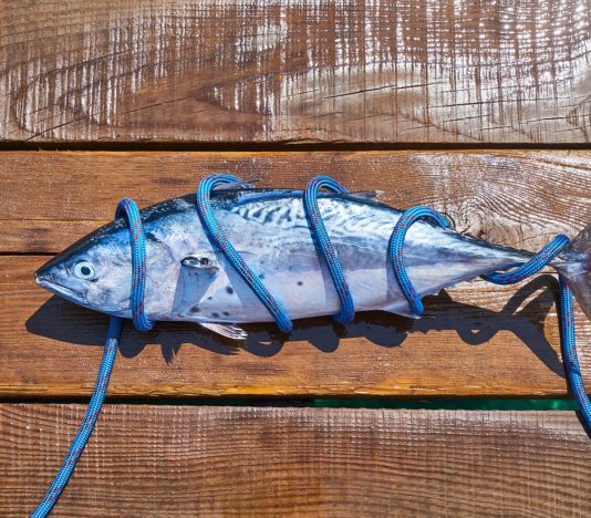 Soñar con ver peces muertos