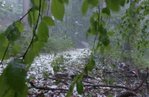 Soñar con granizo