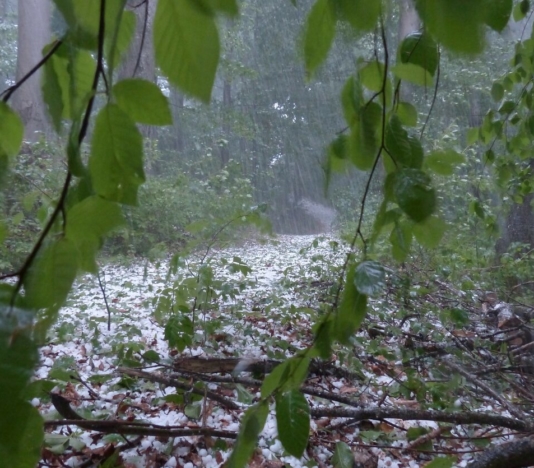 Soñar con granizo