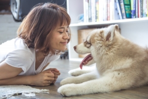 Conoce que animal eres según tu signo del zodíaco